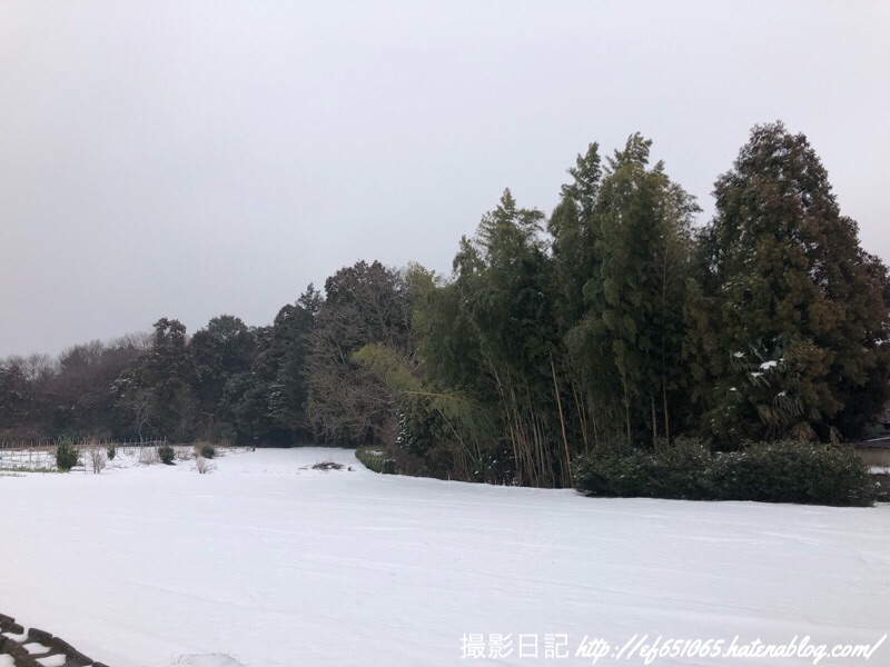 f:id:ef651065:20190212110631j:image