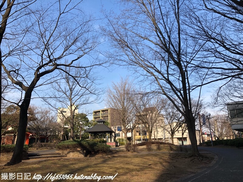f:id:ef651065:20190225050445j:image