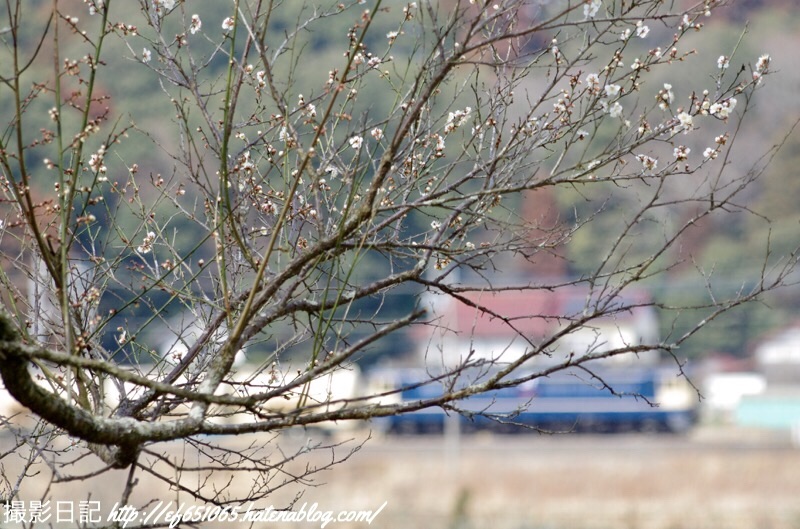 f:id:ef651065:20190225071715j:image
