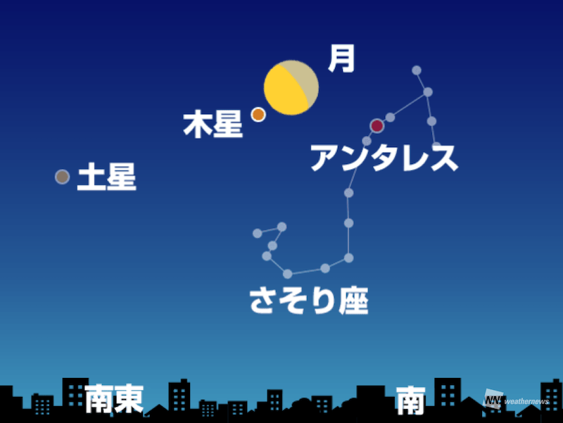 f:id:ef651065:20190327033718p:image