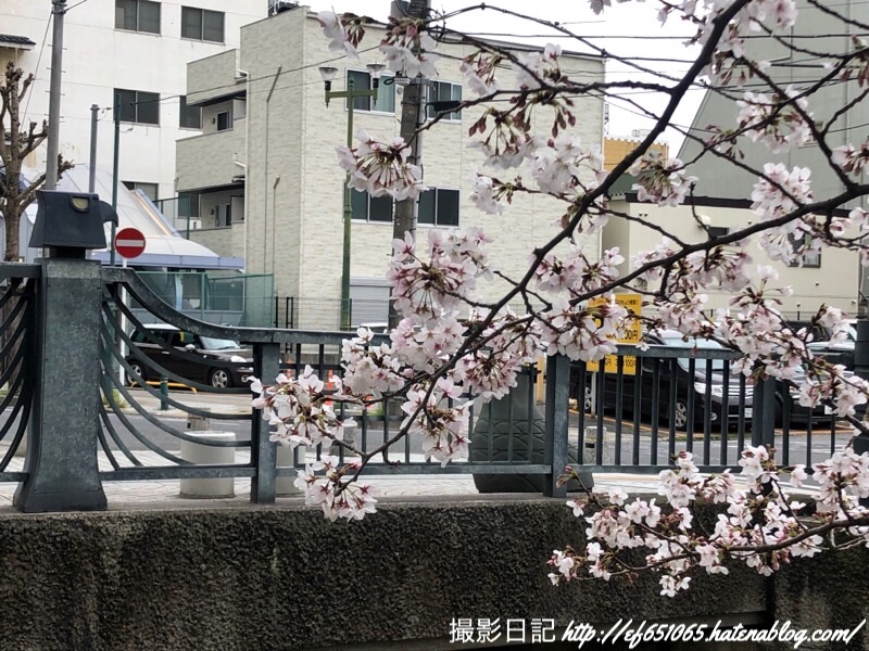 f:id:ef651065:20190401161037j:image