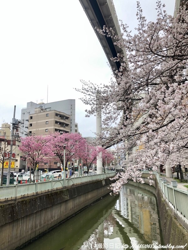 f:id:ef651065:20190401161053j:image