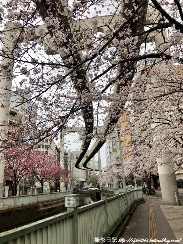 f:id:ef651065:20190401161101j:image