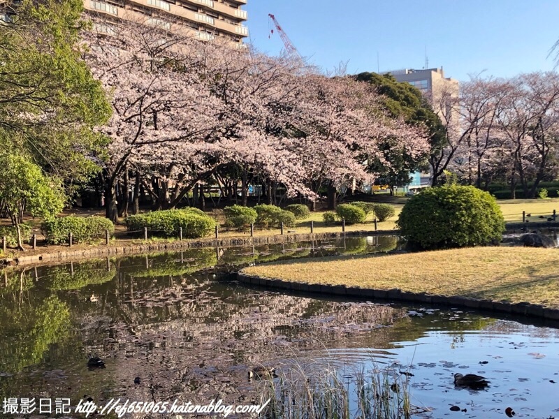 f:id:ef651065:20190404073328j:image