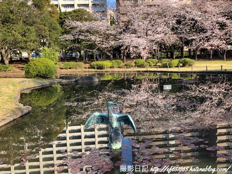 f:id:ef651065:20190404073416j:image