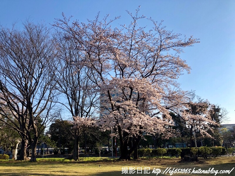 f:id:ef651065:20190404073420j:image