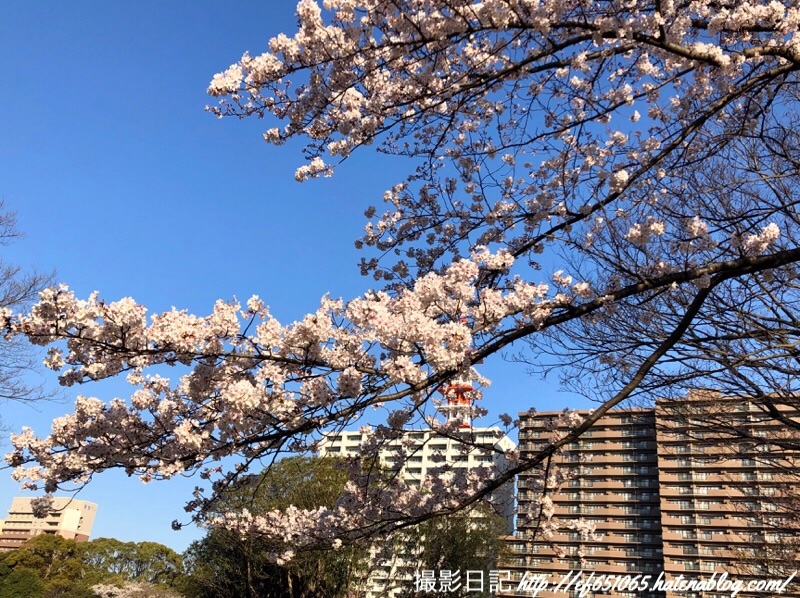 f:id:ef651065:20190404073527j:image