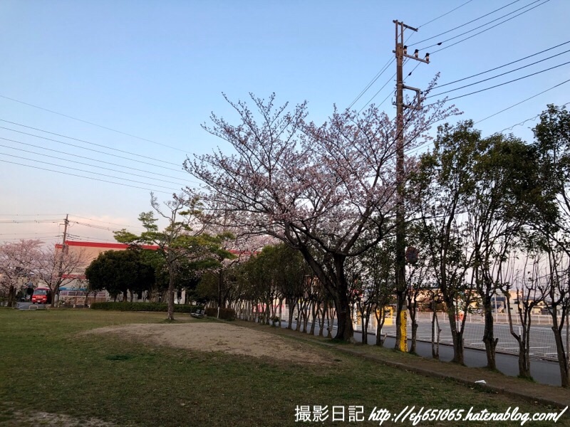 f:id:ef651065:20190406054612j:image