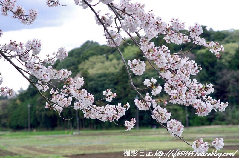 f:id:ef651065:20190411123818j:image