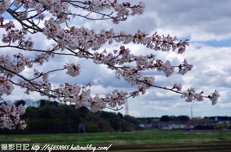 f:id:ef651065:20190411123822j:image
