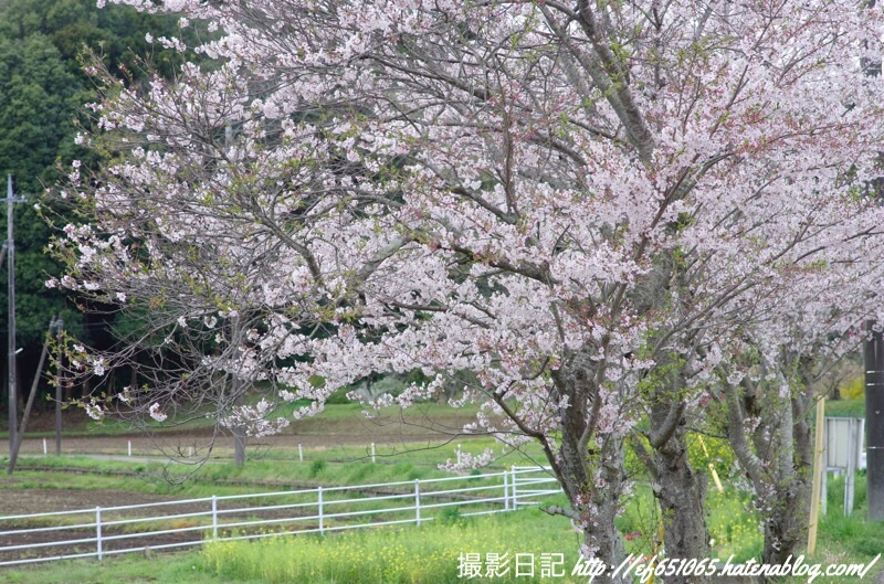 f:id:ef651065:20190411123825j:image
