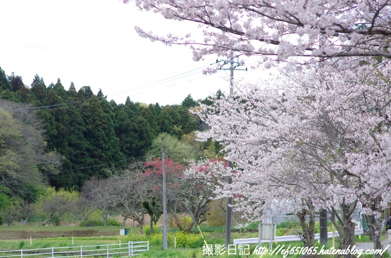f:id:ef651065:20190411123831j:image