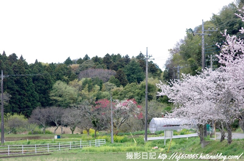 f:id:ef651065:20190411123840j:image