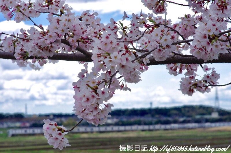 f:id:ef651065:20190411124244j:image