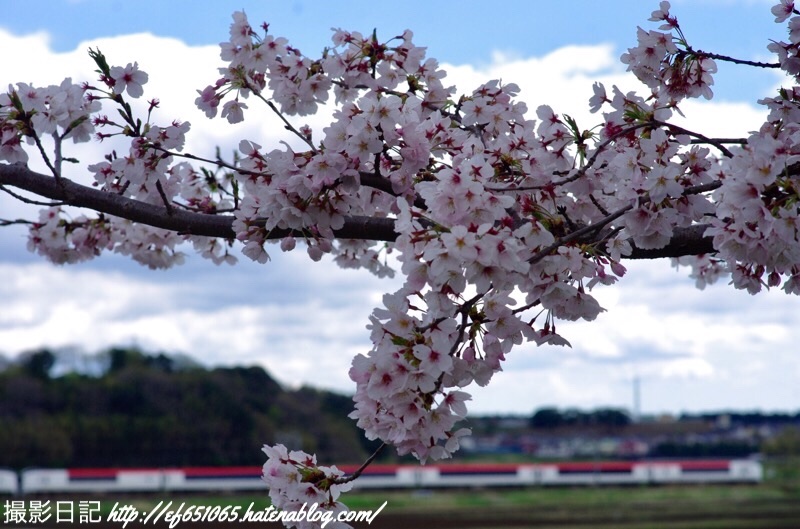 f:id:ef651065:20190411124252j:image