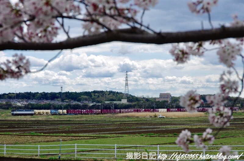 f:id:ef651065:20190411124300j:image