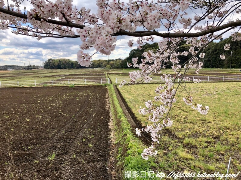 f:id:ef651065:20190411133740j:image