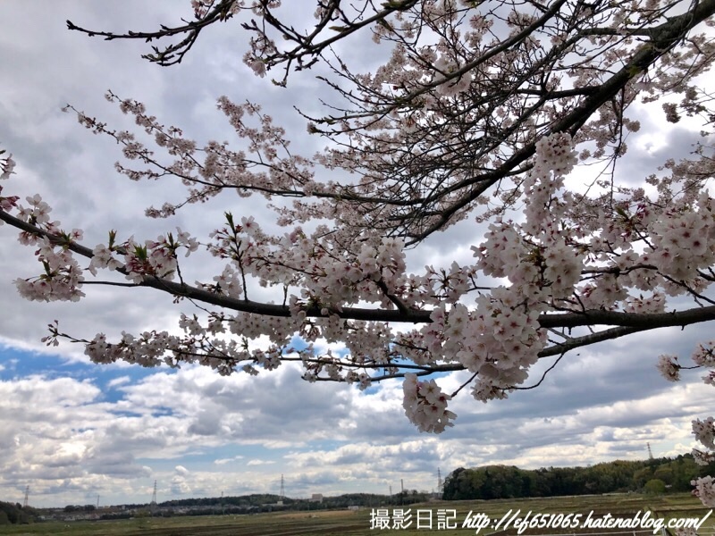 f:id:ef651065:20190411133750j:image