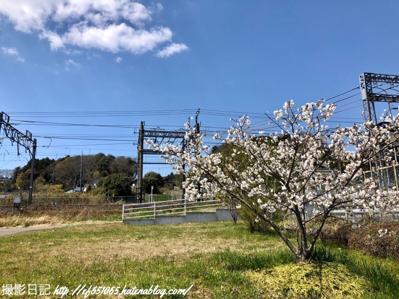 f:id:ef651065:20190413123616j:image