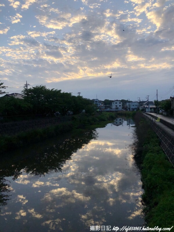 f:id:ef651065:20190502053239j:image