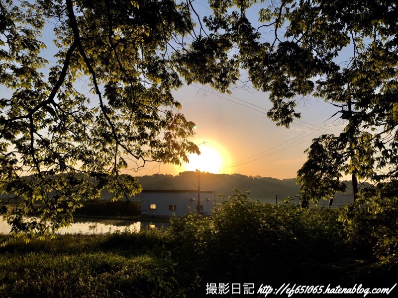 f:id:ef651065:20190510064704j:image