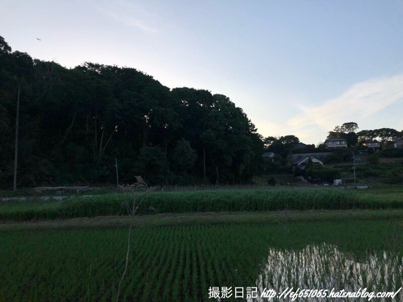 f:id:ef651065:20190530214123j:image