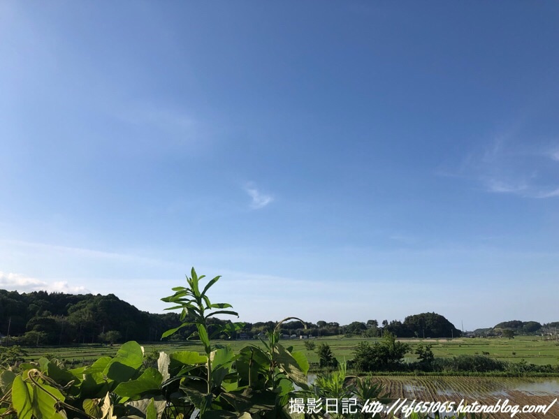 f:id:ef651065:20190530214126j:image