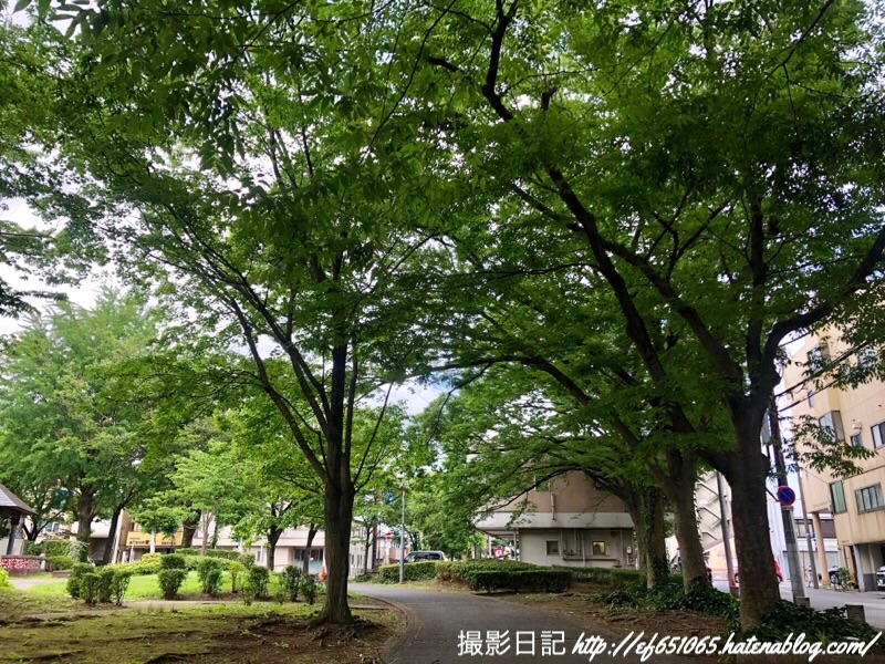 f:id:ef651065:20190612161135j:image