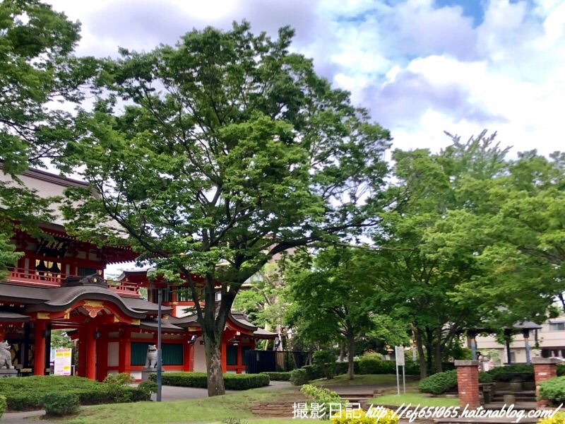 f:id:ef651065:20190612161139j:image