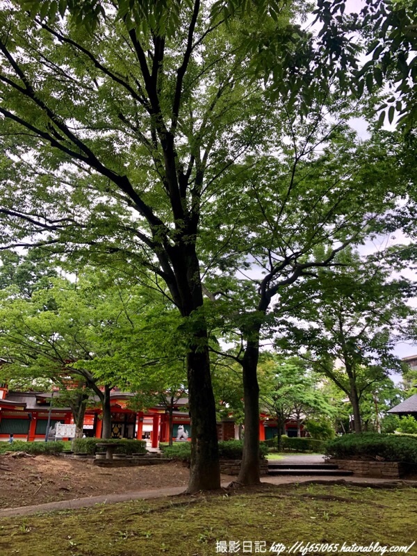 f:id:ef651065:20190612161146j:image