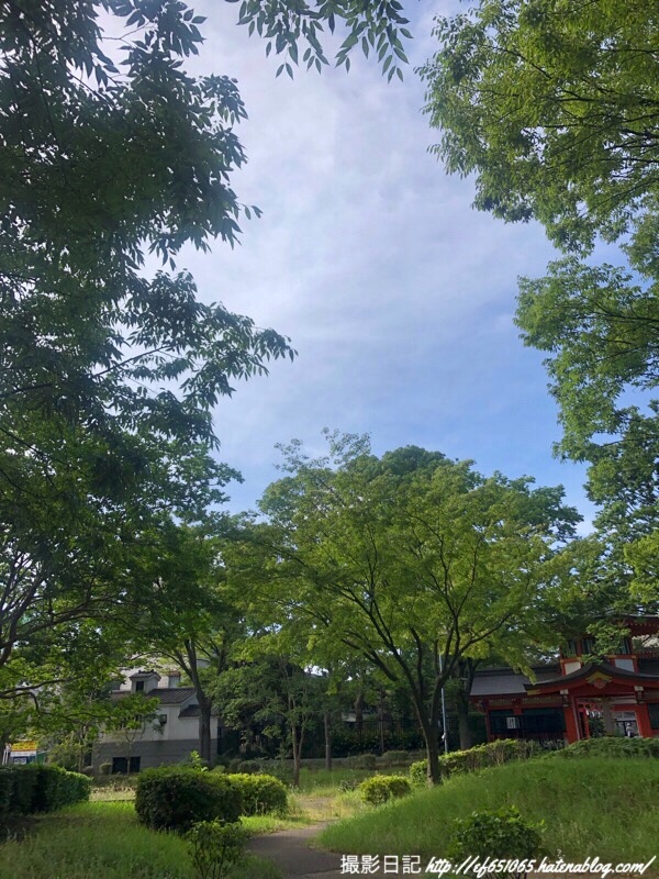 f:id:ef651065:20190813152606j:image