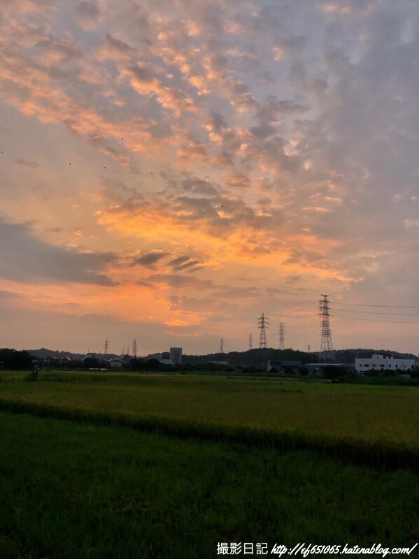 f:id:ef651065:20190826053733j:image