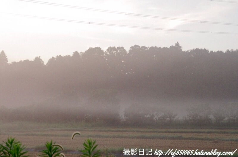 f:id:ef651065:20190906064343j:image