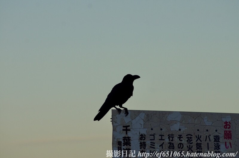 f:id:ef651065:20191005120248j:image