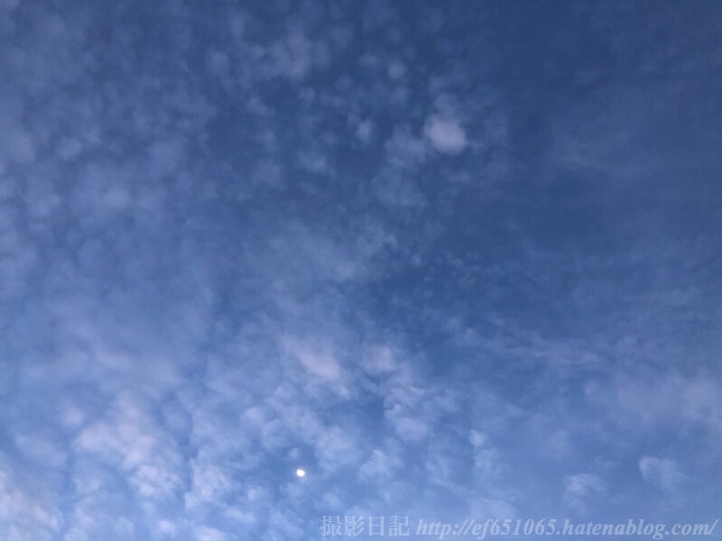 f:id:ef651065:20191024055536j:image