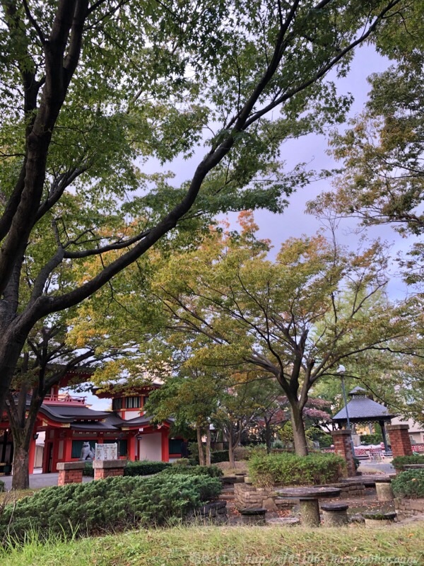 f:id:ef651065:20191031161610j:image