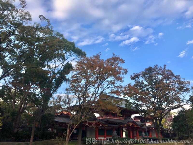f:id:ef651065:20191111154641j:image