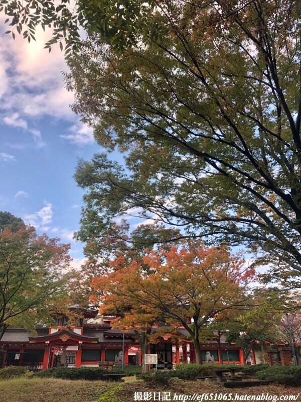f:id:ef651065:20191111154645j:image