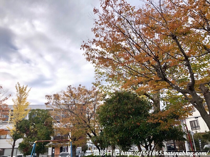 f:id:ef651065:20191115171015j:image