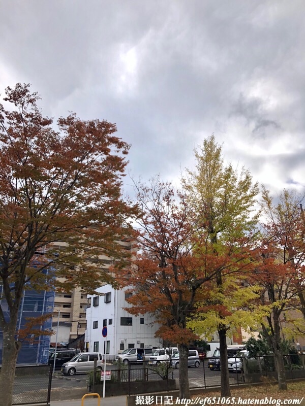 f:id:ef651065:20191115171019j:image