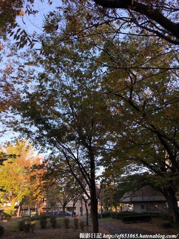 f:id:ef651065:20191116174435j:image