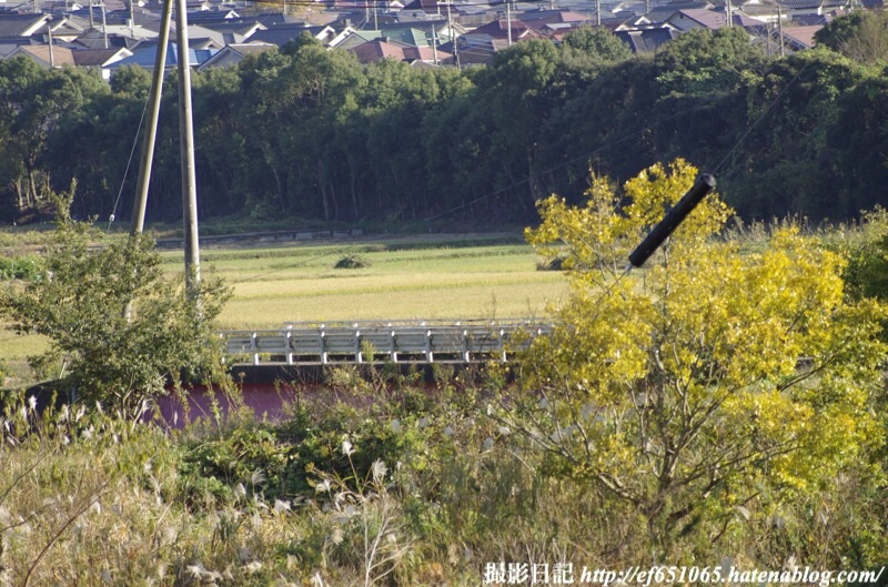 f:id:ef651065:20191119161103j:image
