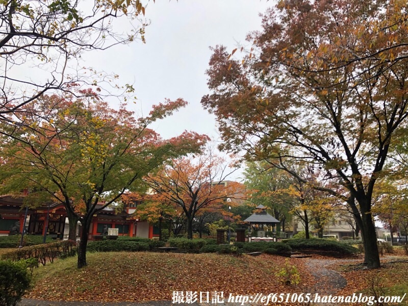 f:id:ef651065:20191123210030j:image