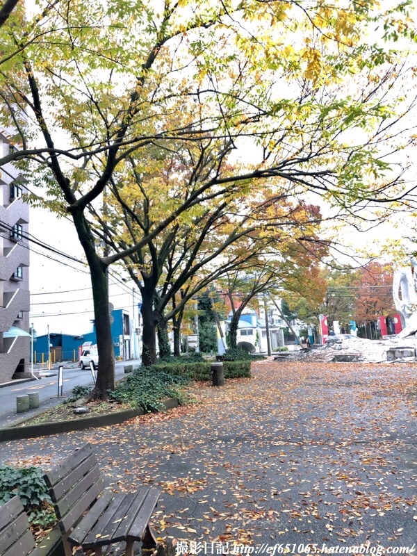 f:id:ef651065:20191124185526j:image