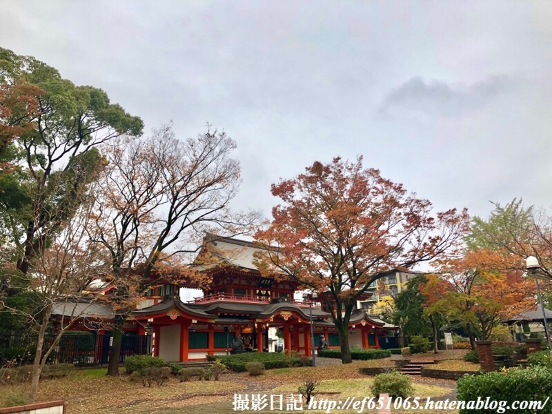 f:id:ef651065:20191124185532j:image