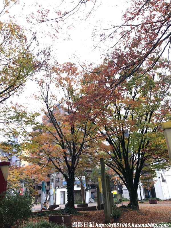 f:id:ef651065:20191124185539j:image