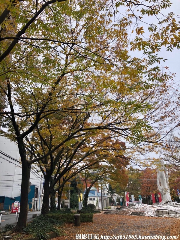 f:id:ef651065:20191124185543j:image
