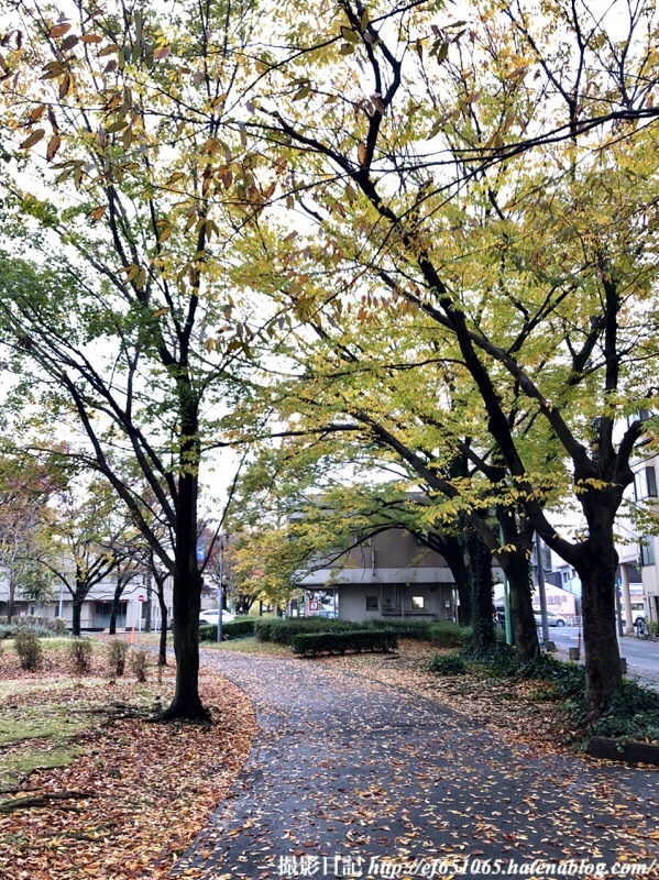 f:id:ef651065:20191124185552j:image