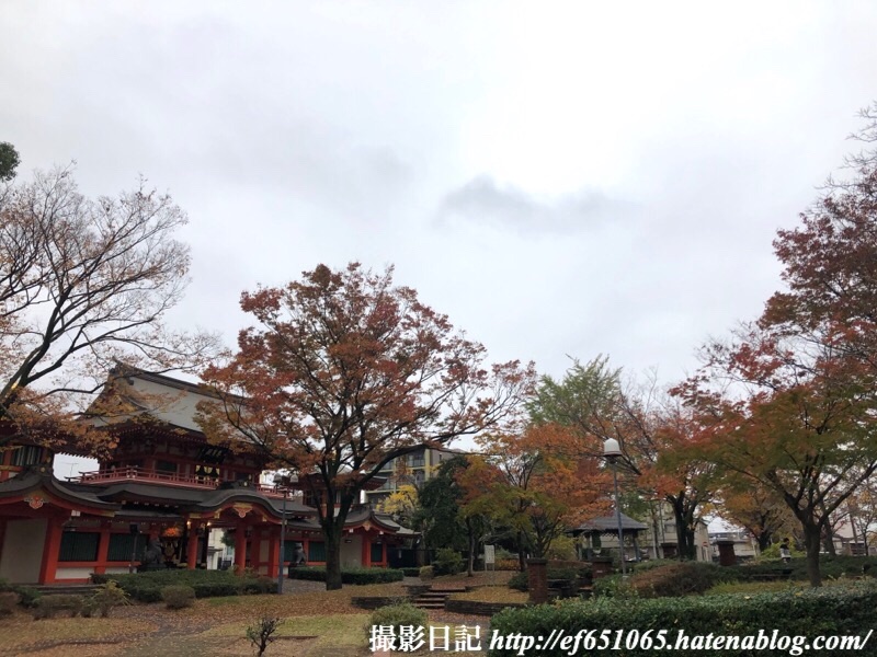 f:id:ef651065:20191124185555j:image