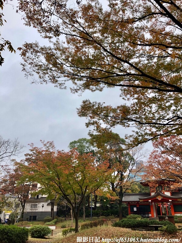 f:id:ef651065:20191124185558j:image